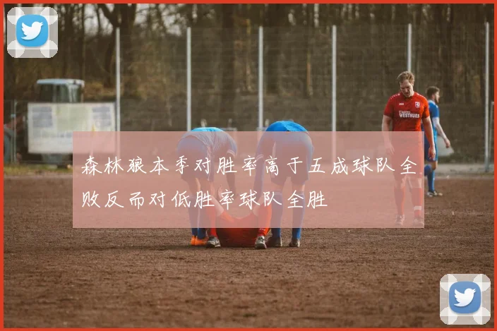 森林狼本季对胜率高于五成球队全败反而对低胜率球队全胜