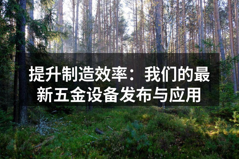 提升制造效率:我们的最新五金设备发布与应用